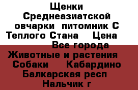 Щенки Среднеазиатской овчарки (питомник С Теплого Стана) › Цена ­ 20 000 - Все города Животные и растения » Собаки   . Кабардино-Балкарская респ.,Нальчик г.